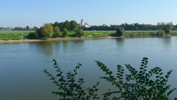 Elbe bei Übigau Elblick